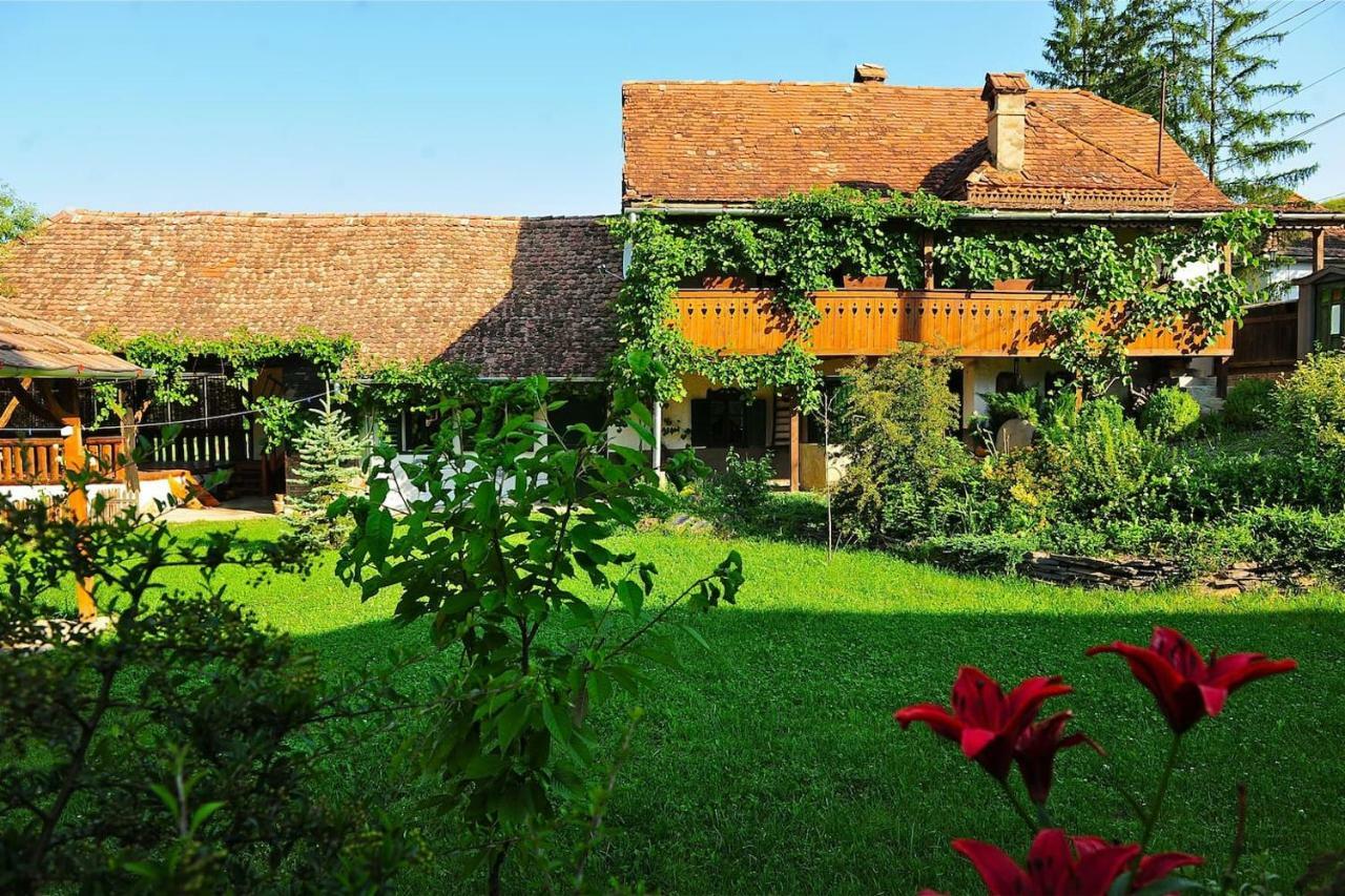 Transylvanian Country House Vetca 외부 사진