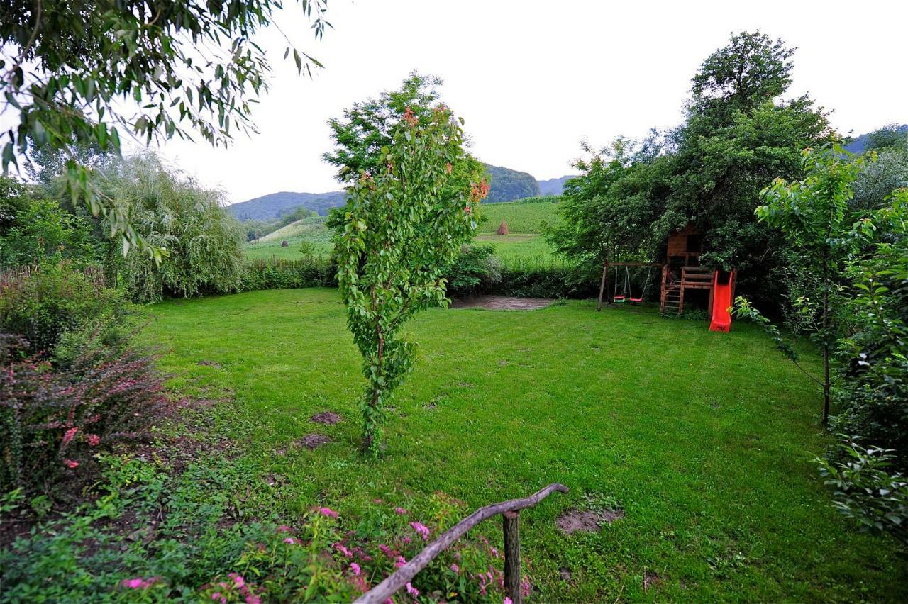 Transylvanian Country House Vetca 외부 사진